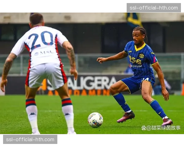 维罗纳1-0小胜莱切,成功保级,后者跌入降级区 维罗纳1-0小胜莱切,成功保级,后者跌入降级区
